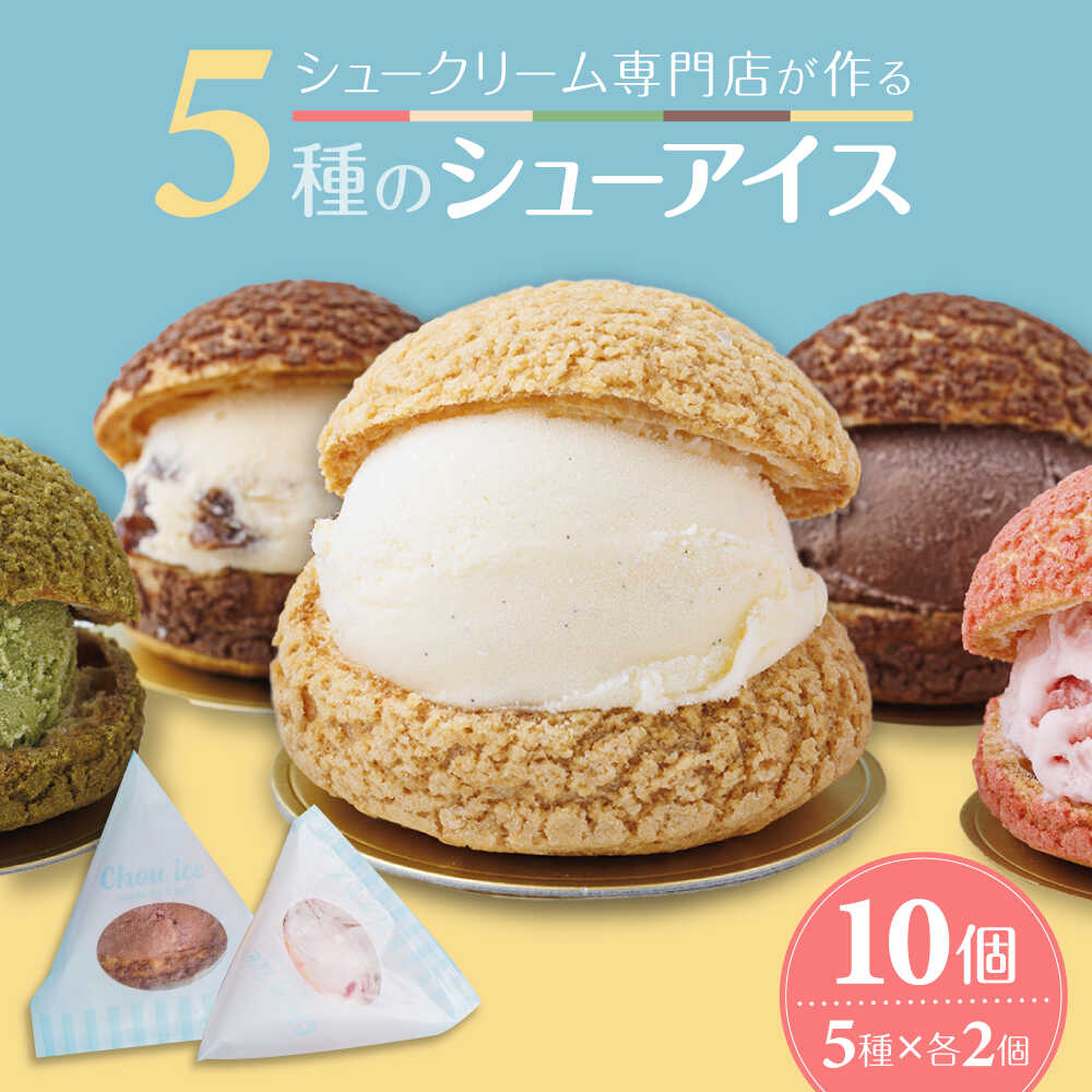【ふるさと納税】シューアイス 10個セット / スイーツ デザート 冷菓 バニラ チョコレート ストロベリー 抹茶 ラムレーズン ギフト プレゼント お取り寄せ 詰め合わせ 食べ比べ 国産 贈答 手土産 お土産 冷凍 洋菓子 / 大阪府藤井寺市/株式会社Ciel CoCo[BLBH001]