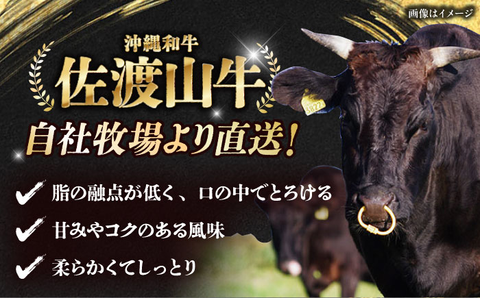 【厳選！おすすめ部位】沖縄和牛 佐渡山牛 切り落とし 500g 牛肉 焼肉 焼き肉 和牛 赤身 沖縄市 / 肉のサブロー [BCBC002]
