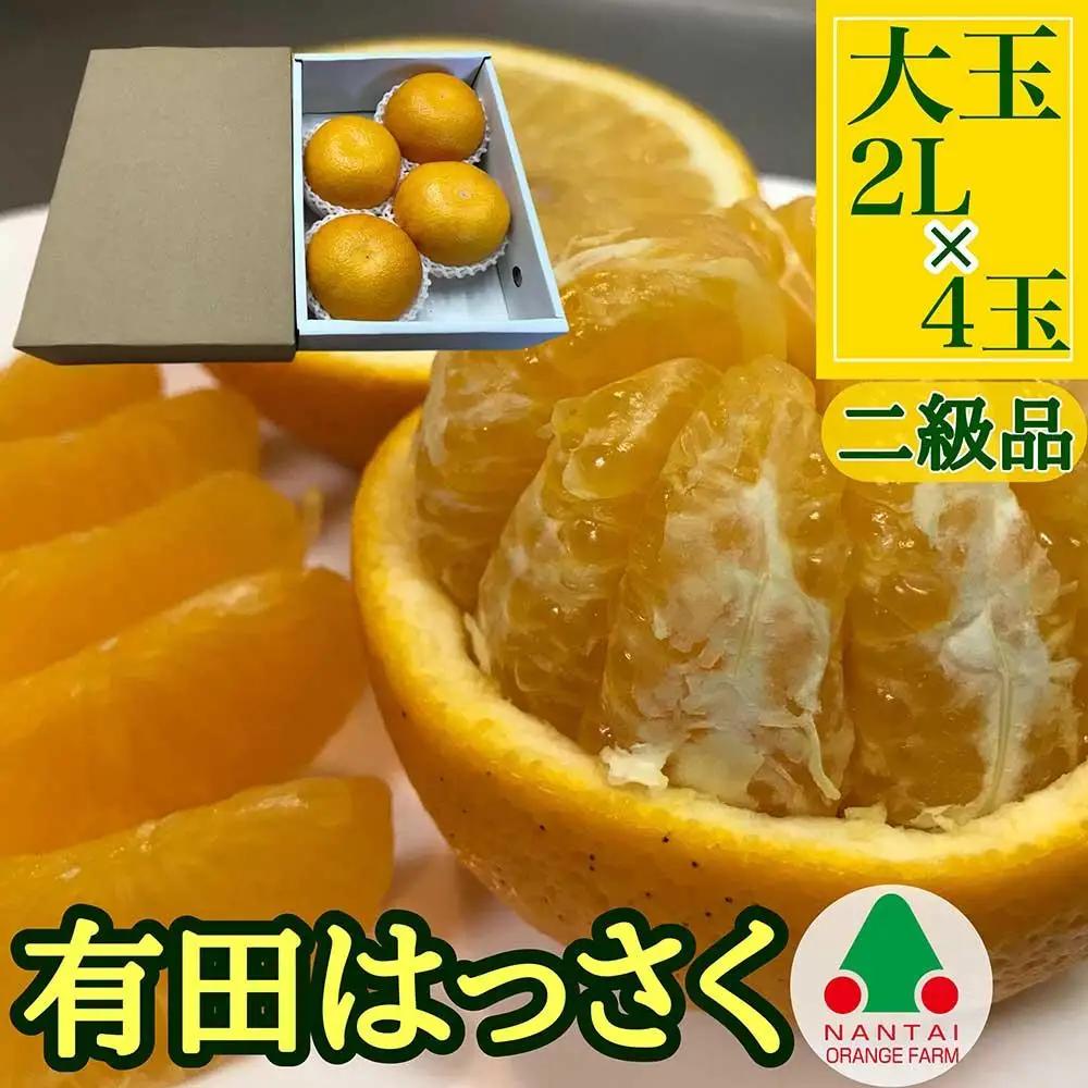 手詰め 有田 はっさく 大玉 2L サイズ × 4玉入 ちょっと 傷あり 小箱 南泰園 みかん