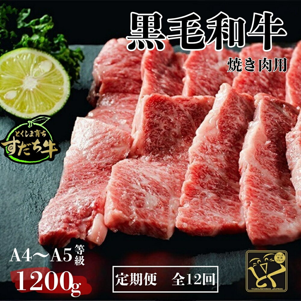 【ふるさと納税】定期便 12回お届け すだち牛 黒毛和牛 （ 焼肉用 ） 1.2kg
