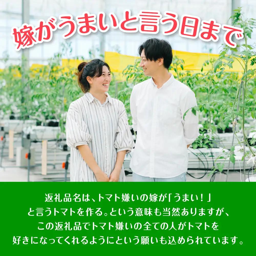 ミニトマト 【先行予約】 嫁がうまいと言う日まで 800g 【2026年12月上旬より順次発送】 ミニトマト