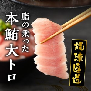 a20-373　焼津 本マグロ 大トロ 1本約250g 冷凍 F1