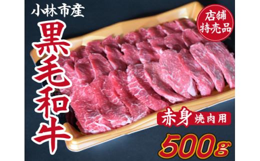 
【C152・店舗特売品】　小林市産黒毛和牛赤身焼肉用　500ｇ（国産 黒毛和牛 赤身 赤身肉 モモ 送料無料 ふるさと納税）
