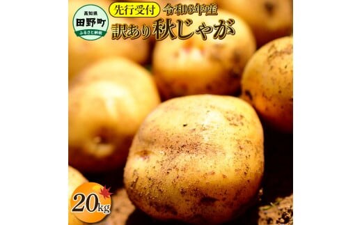 
										
										【四国一小さなまちのじゃがいも】★令和6年11月中旬発送開始★ 大野台地で採れた『 令和6年産 秋じゃが 』 20kg ～ 訳あり ～
									