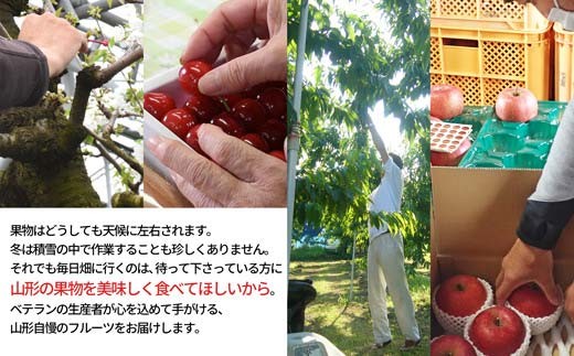 りんご サンふじ & 洋なし ラ・フランス セット 3kg 秀品 ギフト箱入り 山形県産 【令和8年度 先行予約】 FSY-1390
