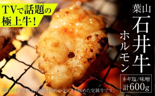 葉山石井牛ホルモン味噌味、ネギ塩味 各300g |  牛ホルモン 肉  ほるもん 国産 葉山 HACCP認証 神奈川【株式会社石井ファーム葉山マルシェ】 [ASCD013]