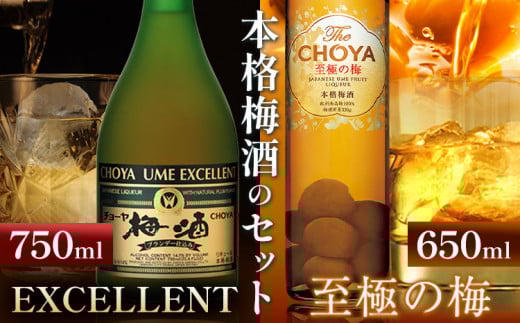 THE CHOYA 至極の梅 650ml EXCELLENT エクセレント 750ml 計2本 セット 飲み比べ 羽曳野商工振興株式会社《30日以内に出荷予定(土日祝除く)》大阪府 羽曳野市 送料無料 梅酒 梅 酒 CHOYA チョーヤ チョーヤ梅酒 お酒 紀州 南高梅