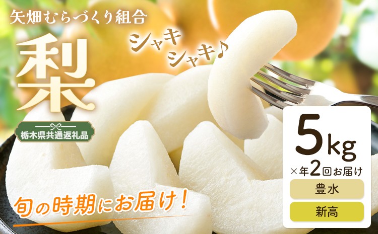 
                  梨 定期便 5kg 計2回 矢畑むらづくり組合《9月中旬-10月中旬頃出荷》栃木県 野木町 お楽しみ フルーツ 食べ比べ 豊水梨 新高梨 栃木産 果物【栃木県共通返礼品　栃木県産】【配送不可地域あり】(離島)
                