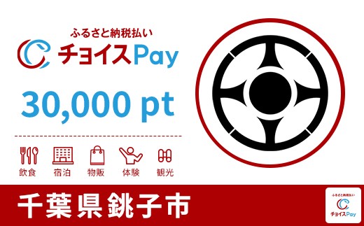 
            銚子市チョイスPay 30,000pt【会員限定のお礼の品】
          