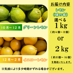 【期間限定】 檸檬 璃の香 1kg  檸檬 レモン