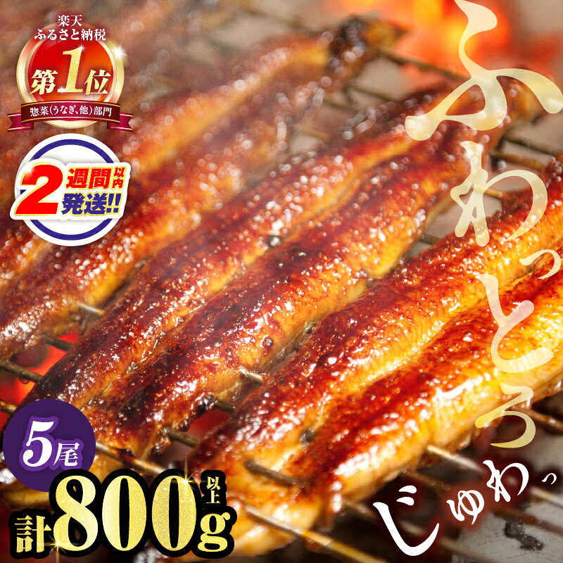 【ふるさと納税】総合1位獲得！≪選べる！！発送時期・定期便≫ うなぎ 蒲焼 5尾 800g 定期便 国産 宮崎 鰻 unagi 丑の日 美味しい うな重 うな丼 長蒲焼 うなぎ長焼 ひつまぶし 蒲焼き かばやき 小分け 真空パック 簡単調理 惣菜 鰻楽 ギフト 贈り物 冷凍 都農町 送料無料