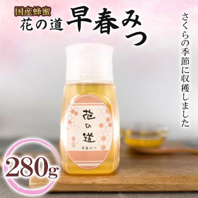 ふるさと納税 八女市 早春みつ　280g(八女市)