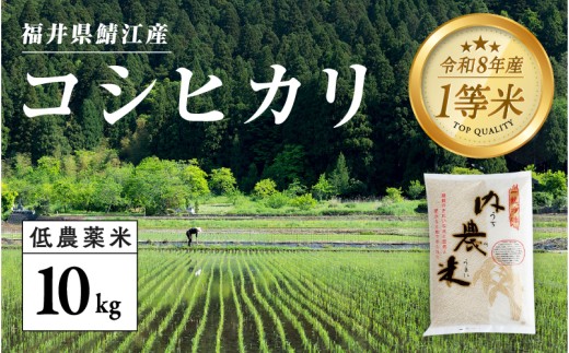 【令和8年産新米！】【先行予約】【2026年9月下旬以降順次発送予定】福井県産 内農米 コシヒカリ 10kg [C-00514]　/ こしひかり  白米 精米 ご飯 コメ ごはん ライス 産地直送 鯖江市