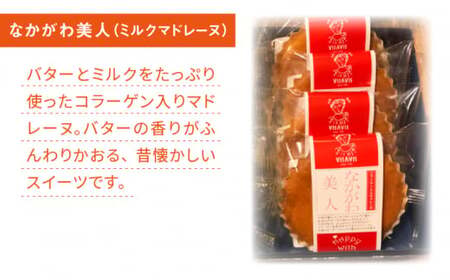 【全12回定期便】VISAVIS菓子 2種セット 計9点 ＜株式会社シークス＞那珂川市  定期便 バターケーキ お菓子 スイーツ   [GAU009]103000 103000円