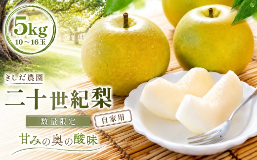
                  【数量限定】きしだ農園 二十世紀梨（自家用） 5kg
                