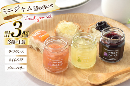 ジャム ミニジャム 3種 詰め合わせ セット [たかはたファーム 山形県 高畠町 tk06ays680008]