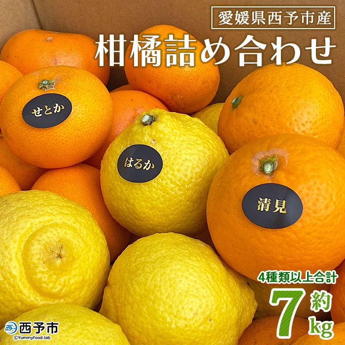 ＜愛媛県西予市産 柑橘詰め合わせ 合計約７kg＞ 果物 フルーツ おまかせ お楽しみ みかん ミカン 食べ比べ 詰合せ セット ご家庭用 柑橘 愛媛県 西予市