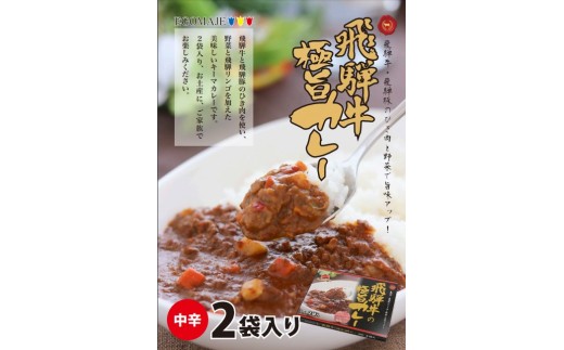 飛騨牛の極旨カレー ２食入り×６箱 飛騨市
