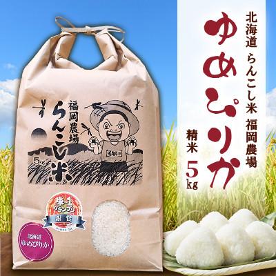 ふるさと納税 蘭越町 令和7年産　らんこし米 福岡農場のゆめぴりか 5kg
