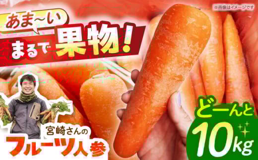 宮崎さんのフルーツにんじん10kg ＜先行予約！12月～5月お届け＞ 長崎県/株式会社まるまさ [42ALAB001]フルーツ 人参 ニンジン にんじん キャロット 長崎 島原 野菜 ジュース スムージー 甘い