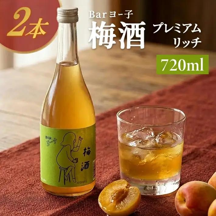 SB0899　酒田の酒屋厳選　楯の川 BARヨー子 梅酒プレミアムリッチ　720ml×2本