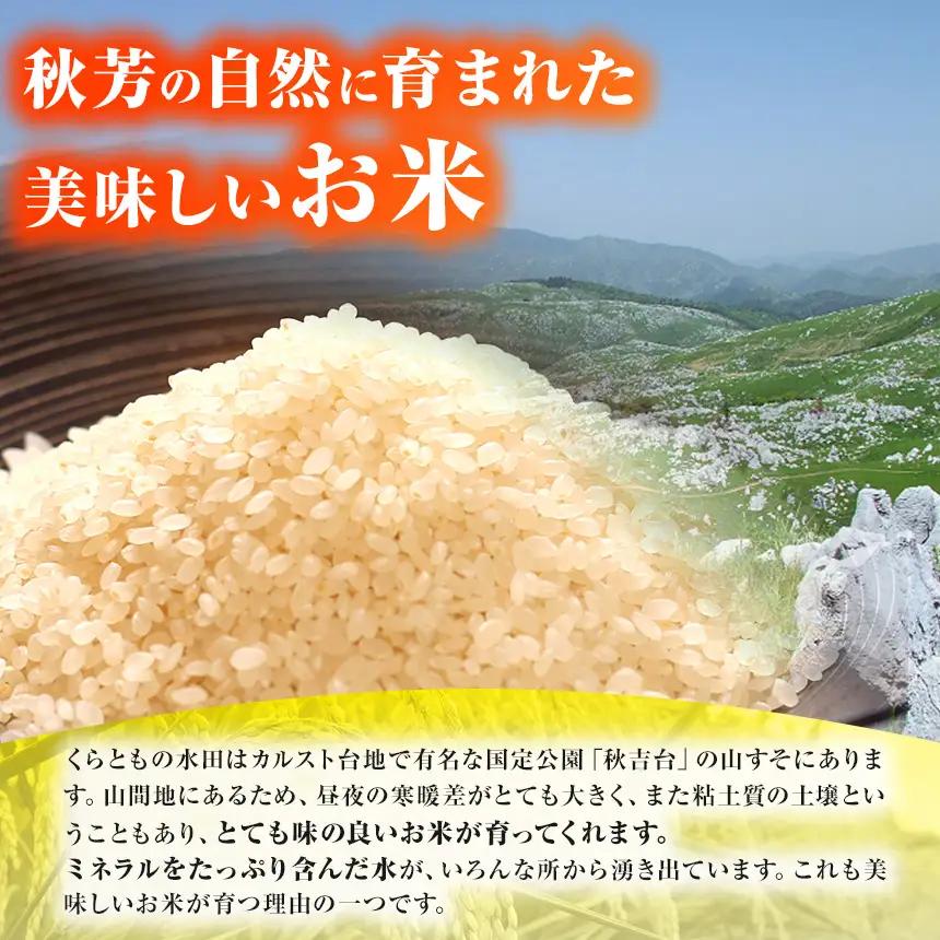 玄米 コシヒカリ 5kg 農薬 ( 栽培期間中不使用 )・ 化学肥料不使用 令和7年産 米