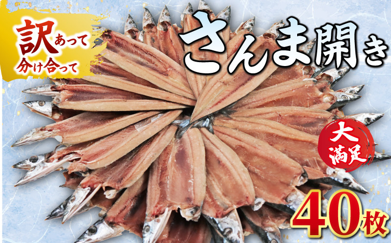 
            さんま サンマ 秋刀魚 40枚 訳あって さんま開き ４０枚 分け合って 訳あり さんま開き さんま サンマ 秋刀魚 開き 季節の味覚 銚子 海の幸 海鮮 さんま 秋刀魚 秋の味覚 秋の魚 魚 魚貝 干物 冷凍 新鮮 人気 お取り寄せ グルメ 贈答 ギフト ふるさと納税 ふるさと納税さんま 送料無料 11000 11,000円 千葉県 銚子市 ヤマニンベン
          