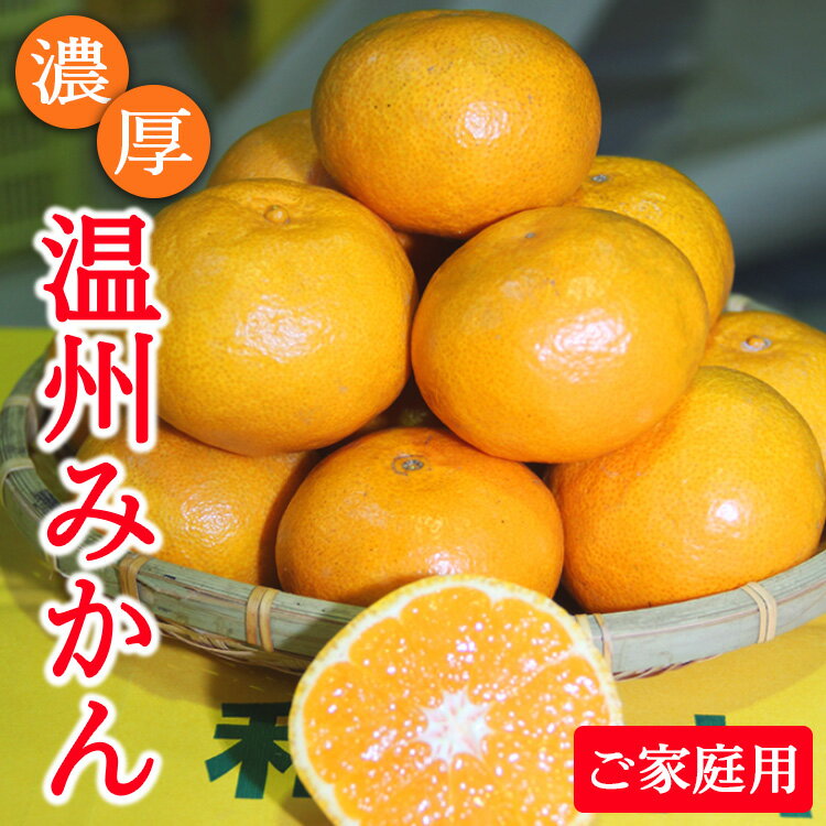【ふるさと納税】＼選べる内容量／濃厚温州みかんご家庭用7.5kg 10kg（和歌山天田みかん）◆ みかんの産地和歌山　北村農園直送 ※2025年12月上旬頃より順次発送予定