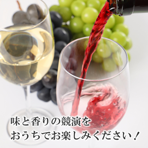 甲府ワイン４種類飲み比べセット　K06113-D