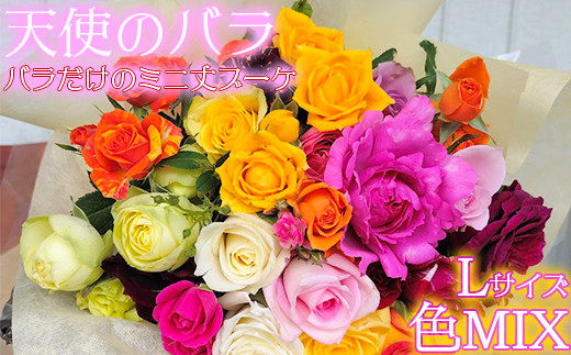 【天使のバラ】薔薇だけのミニ丈ブーケLサイズ（色MIX） ＜141-017＞