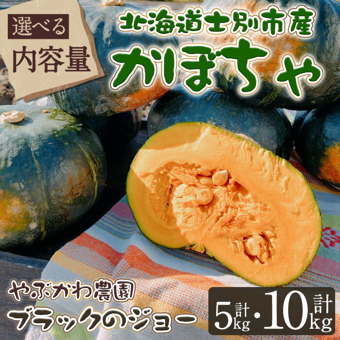 【ふるさと納税】＜先行予約受付中・選べる内容量＞北海道士別市産 かぼちゃ ブラックのジョー (5kg・2~4玉 / 10kg・5~8玉) 【2025年10月から12月の間に順次発送】かぼちゃ 南瓜 カボチャ 北海道産 国産 野菜 やさい 甘み 産地直送 おかず 味覚の秋【やぶかわ農園】
