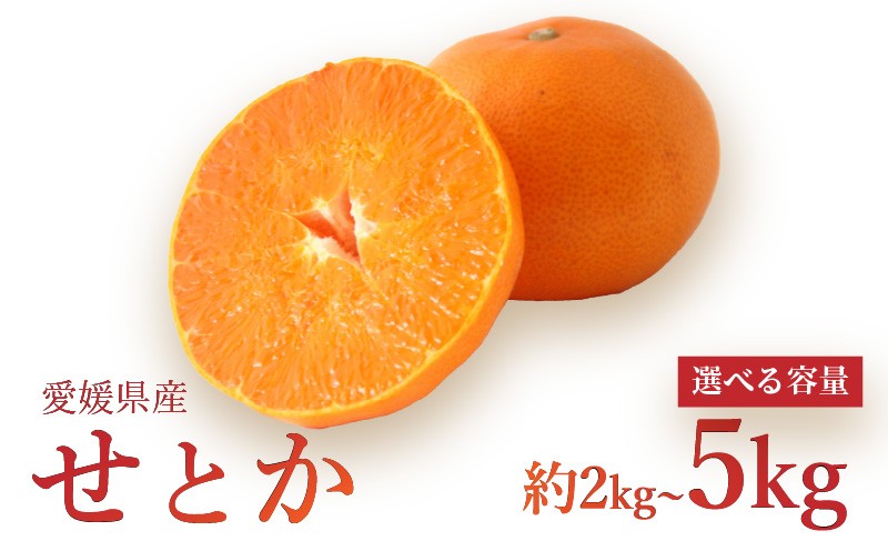 
                  【2026年3月上旬より発送】愛媛県 みかん せとか 2kg/5kg | 数量選択可 せとか みかん 蜜柑 柑橘 数量限定 愛媛県産 松山市 中島 低農薬 愛媛県 松山市
                