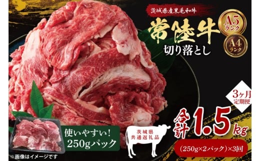【茨城県共通返礼品】【3ヶ月定期便】常陸牛切り落とし500g（250g×2）｜ブランド牛 銘柄牛 和牛 黒毛和牛 国産 A5・A4ランク 等級 お肉 牛肉 牛丼 すき焼き 炒め物 小分け 定期 3回 毎月 茨城県 大子町（DD007）