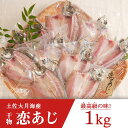 【ふるさと納税】土佐大月海産　高級アジの干物 恋あじ　1kg