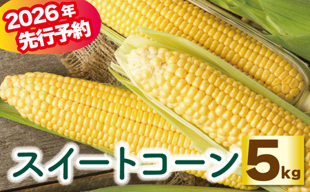 予約 スイートコーン 5kg とうもろこし コーン 配送：6月～7月