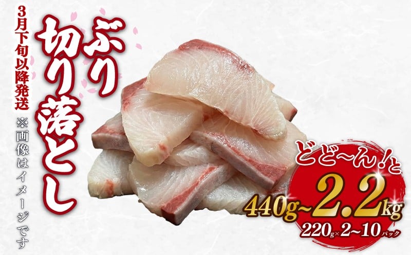 
            ブリ  切り落とし 選べる 内容量 440g～2.2kg 220g ×2～10パック 天然鰤 国産ぶり buri 産地直送 刺身 お刺身 漬け丼 茶漬け 冷凍 小分け 大容量 国産 刺身 刺し身 魚 魚介 国産 天然 三重 南伊勢町 伊勢 志摩 六千円 6000円 一万円 10000円 二万円 20000円 外湾漁業協同組合
          