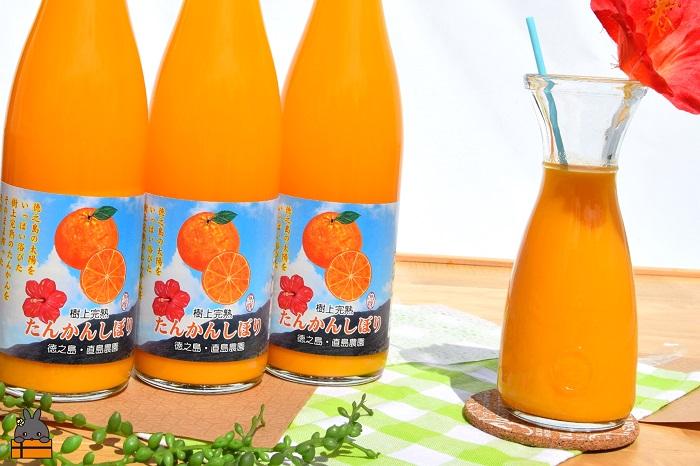 《NEW！2025年もぎたて！》徳之島 直島農園さんの樹上完熟たんかんしぼり（720ml×3本）( 果物 果汁 たんかん 柑橘 ジュース ドリンク 徳之島 奄美 鹿児島 美味しい )