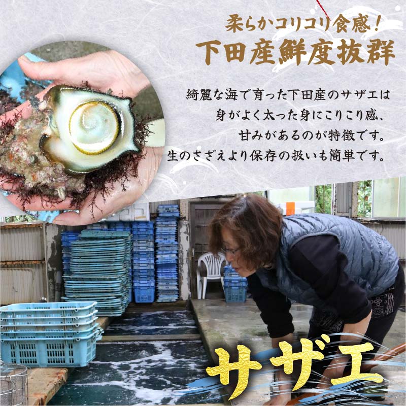 伊豆の恵み 4品(3種) Eセット ボイルサザエ 味噌汁用 カット伊勢海老 蒸し伊勢海老 伊勢海老 えび 海老 サザエ ボイル バーベキュー 味噌汁 蒸し 国産 海鮮 料理 伊豆 下田 静岡 辻水産