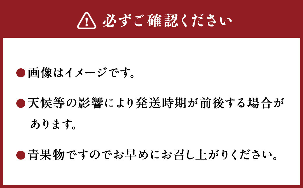 ＜宮崎県産完熟マンゴー 2L×2玉（約700g）＞