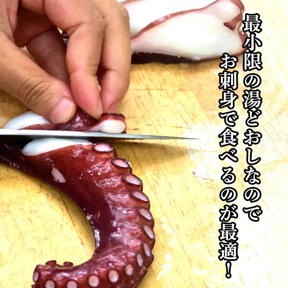 北海道稚内産 お刺身ボイルたこ足1本 約1.3kg～1.6kg【配送不可地域：離島・沖縄県】