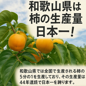 柳フルーツ園の訳ありたねなし柿7.5kg_柿　たねなし柿　橋本市産柿　渋柿_【1077001】