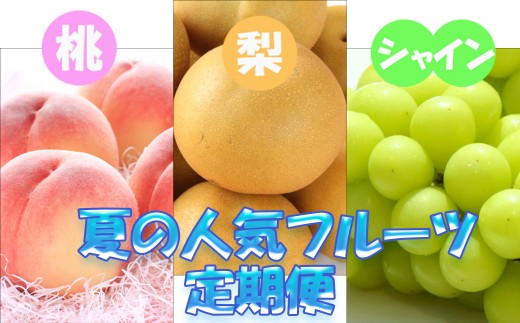 【定期便】定期便全3回 【7月・8月・9月発送】 和歌山の夏の人気フルーツをお届け（桃・梨・シャイン）【tkb429】