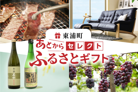 あとからセレクト【東浦町ふるさとギフト】30万円分 おまかせ ギフト ギフト券 ポイント 交換 カタログ カタログギフト あとから選べる 後から チケット 愛知県 東浦町