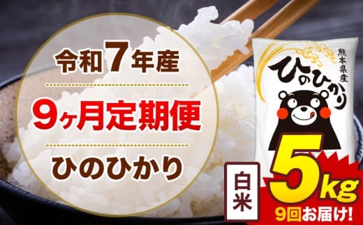 【9ヶ月定期便】米 令和7年産ひのひかり 白米 定期便 5kg 《お申込み翌月から出荷》熊本県 菊池市 国産 熊本県産 白米 精米 送料無料 ヒノヒカリ こめ お米
