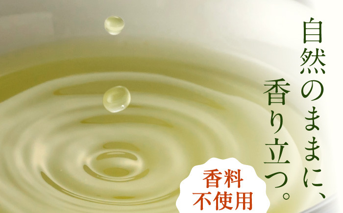 お茶 ペットボトル ケース 24 しらかわ しらかわちゃ 500 こだわり緑茶 おみやげ お土産 まとめ買い 災害 備蓄 防災