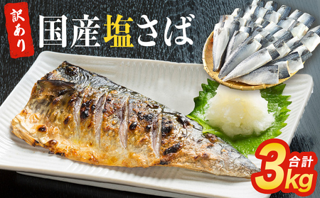 訳あり 塩 サバ フィーレ 3kg さば 鯖