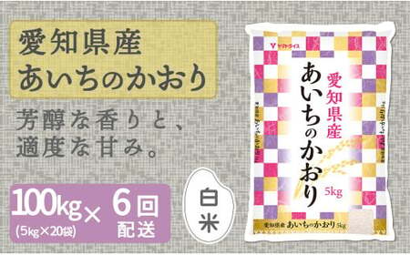 【精米】6回定期便 愛知県産あいちのかおり 100kg（5kg×20袋）　安心安全なヤマトライス 米 白米 国産 大容量 5キロ　H074-616