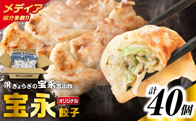 
            【ぎょうざの宝永】宝永餃子250g入（10個入）×4袋 合計1kg　T004-003
          