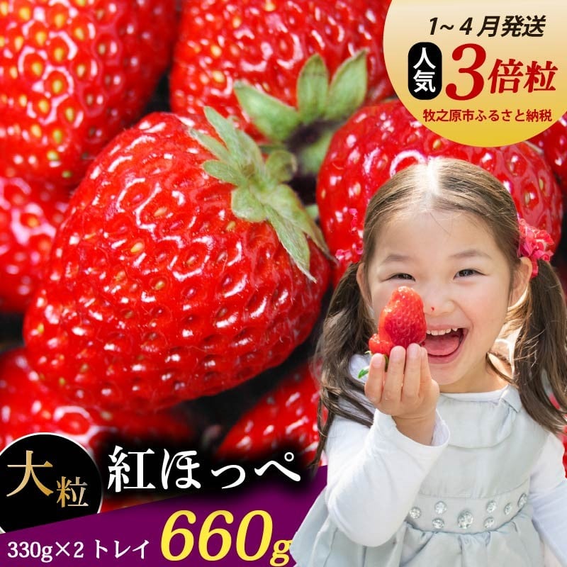 
                  【1~4月発送】 紅ほっぺ 660g いちご 330g×2パック 農倖いちごボックス 【イチゴ】 冷蔵発送 苺 土耕栽培 フルーツ 果物 スイーツ デザート朝摘み ストロベリー おやつ 完熟 直送 ギフト 家庭用 贈答用 贈答 ギフト 贈り物 甘い ブランド ジャム アレンジ フルーツサンド 農家直送 ベリー 産地直送 国産 おすすめ 森木農園 静岡県 牧之原市 ~土耕栽培だから濃くて甘い!~
                