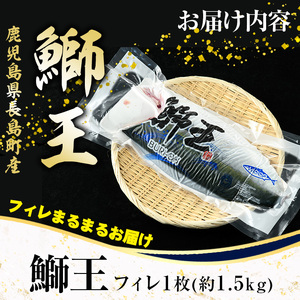 【12月30日発送】ぶりの王様「 鰤王 」 フィレ (約1.5kg・フィレ1枚) 産地直送 新鮮 旨味が抜群の 長島町 特産品 ブランド ぶり 鰤 ブリ 切り身 真空 冷蔵 刺身 ぶりしゃぶ しゃぶし